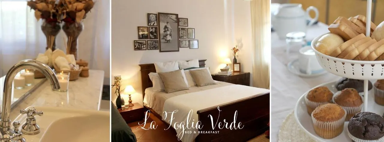 Bed & Breakfast B&B La Foglia Verde Massa  Italy