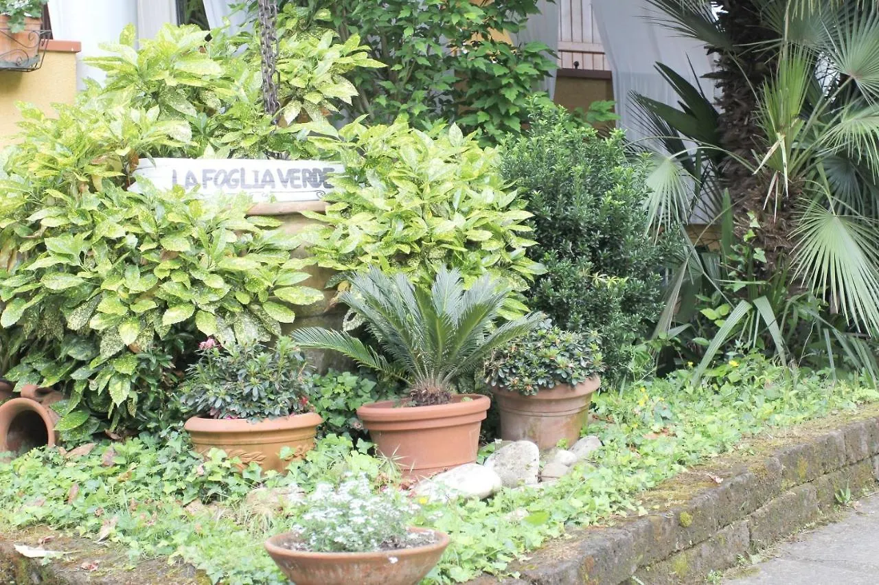 Bed & Breakfast B&B La Foglia Verde Massa  Italy