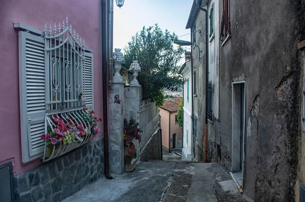 Bed & Breakfast B&B La Foglia Verde Massa