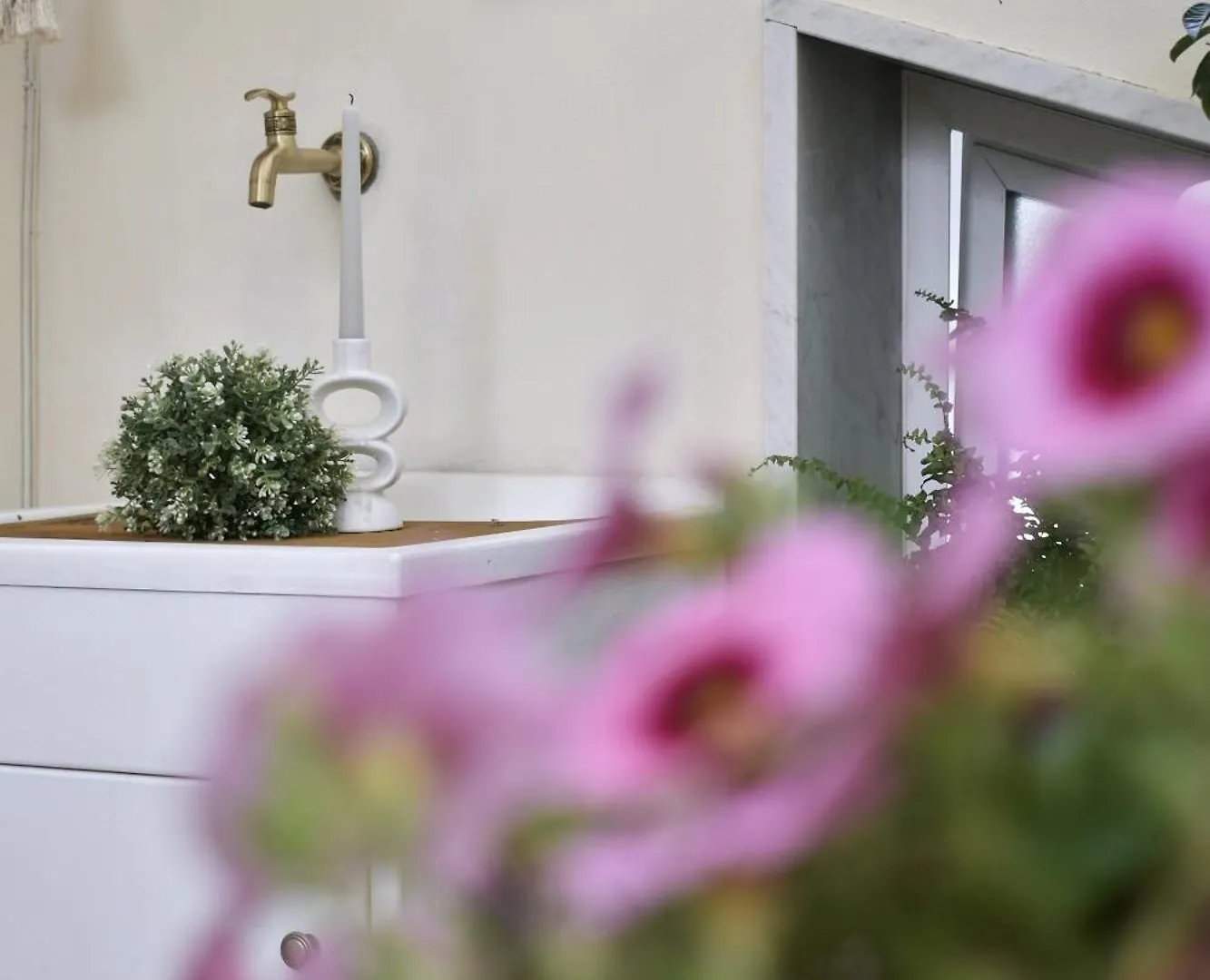B&B La Foglia Verde Massa