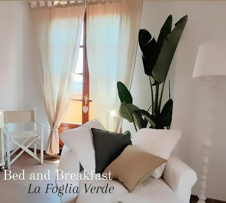 Bed & Breakfast B&B La Foglia Verde Massa