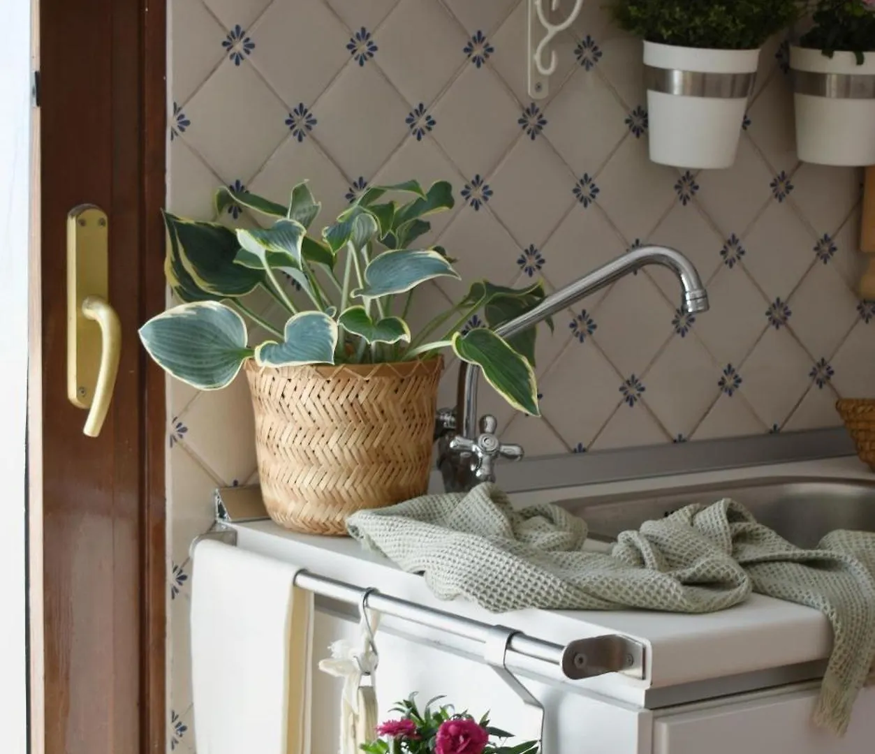 Bed & Breakfast B&B La Foglia Verde Massa  Italia